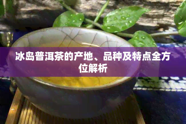 冰岛普洱茶的产地、品种及特点全方位解析