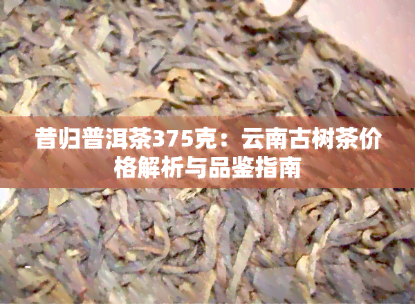 昔归普洱茶375克：云南古树茶价格解析与品鉴指南