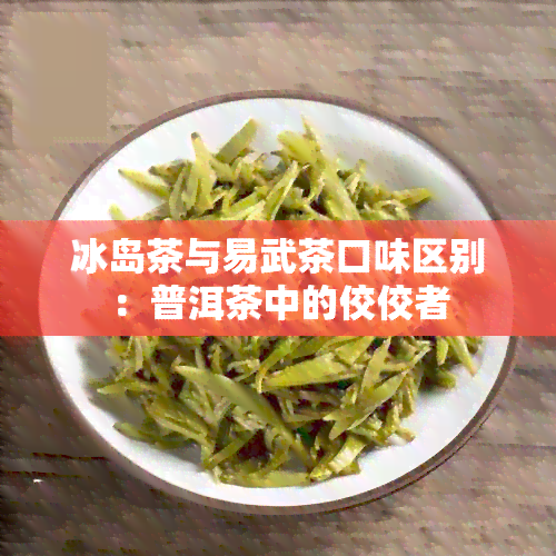 冰岛茶与易武茶口味区别：普洱茶中的佼佼者