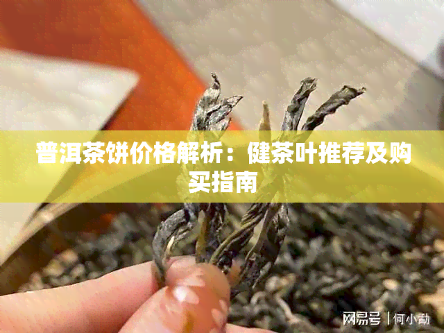 普洱茶饼价格解析：健茶叶推荐及购买指南