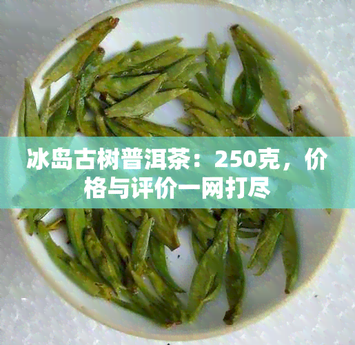 冰岛古树普洱茶：250克，价格与评价一网打尽