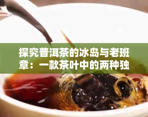 探究普洱茶的冰岛与老班章：一款茶叶中的两种独特风味