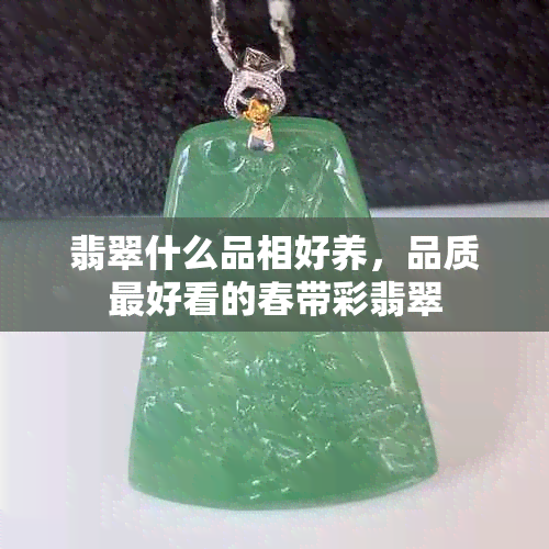 翡翠什么品相好养，品质更好看的春带彩翡翠