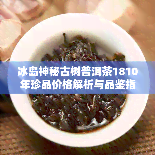 冰岛神秘古树普洱茶1810年珍品价格解析与品鉴指南