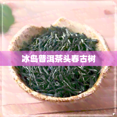 冰岛普洱茶头春古树