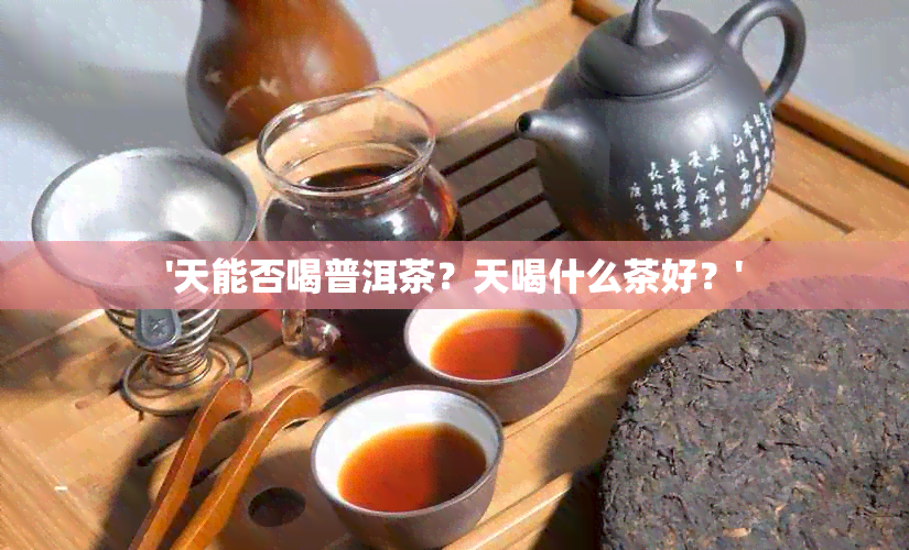 '天能否喝普洱茶？天喝什么茶好？'