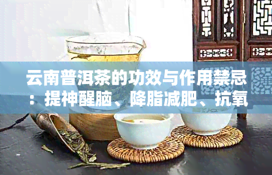 云南普洱茶的功效与作用禁忌：提神醒脑、降脂减肥、抗氧化、抗衰老等。