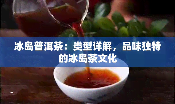 冰岛普洱茶：类型详解，品味独特的冰岛茶文化