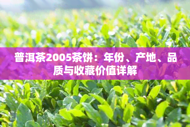 普洱茶2005茶饼：年份、产地、品质与收藏价值详解