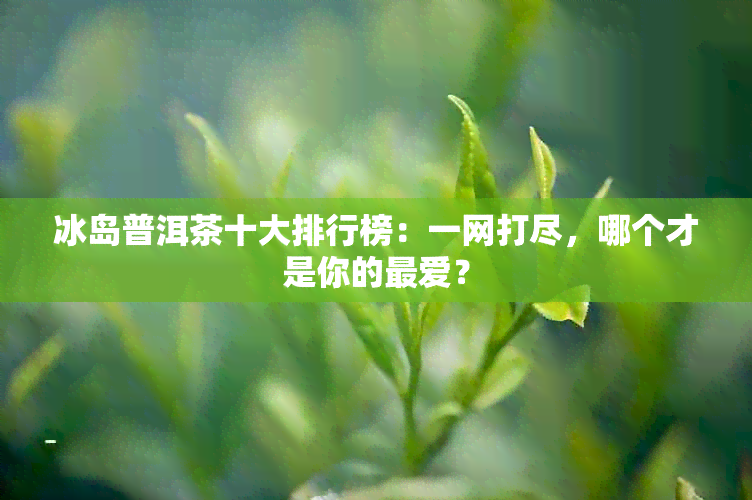 冰岛普洱茶十大排行榜：一网打尽，哪个才是你的更爱？