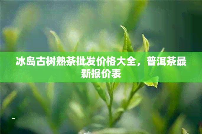 冰岛古树熟茶批发价格大全，普洱茶最新报价表