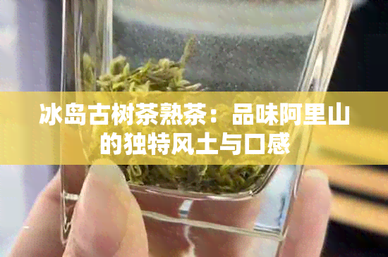 冰岛古树茶熟茶：品味阿里山的独特风土与口感