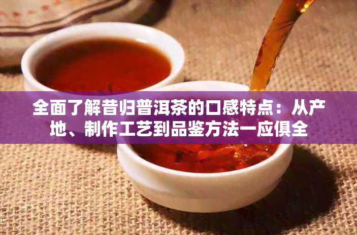 全面了解昔归普洱茶的口感特点：从产地、制作工艺到品鉴方法一应俱全