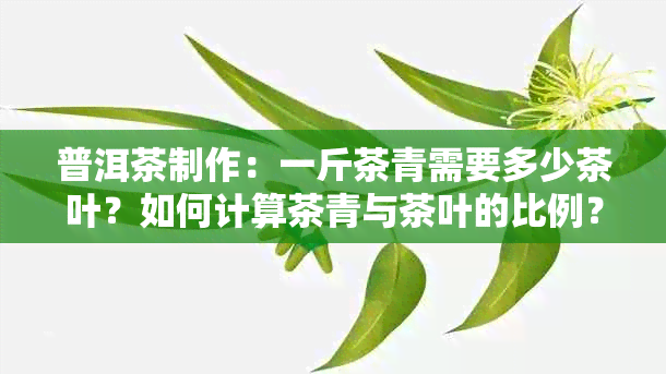 普洱茶制作：一斤茶青需要多少茶叶？如何计算茶青与茶叶的比例？