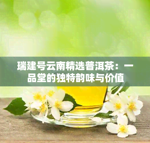 瑞建号云南精选普洱茶：一品堂的独特韵味与价值