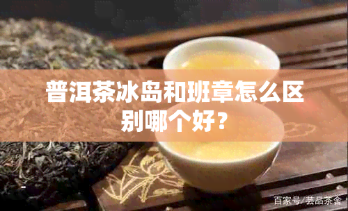 普洱茶冰岛和班章怎么区别哪个好？