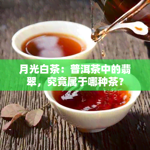 月光白茶：普洱茶中的翡翠，究竟属于哪种茶？