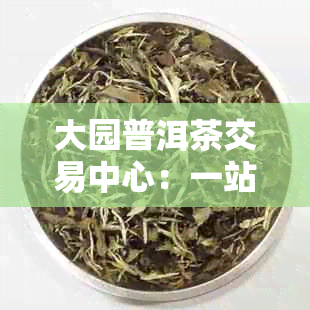 大园普洱茶交易中心：一站式茶叶交易平台，了解普洱茶品种、价格及购买指南