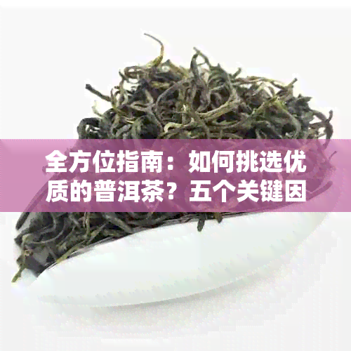 全方位指南：如何挑选优质的普洱茶？五个关键因素为您解惑！