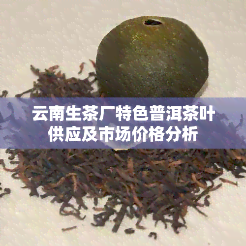 云南生茶厂特色普洱茶叶供应及市场价格分析