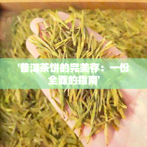 '普洱茶饼的完美存：一份全面的指南'