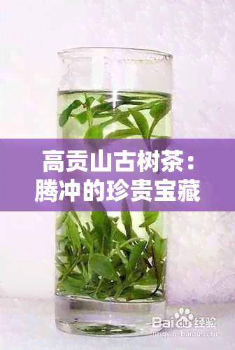 高贡山古树茶：腾冲的珍贵宝藏与独特风味探秘