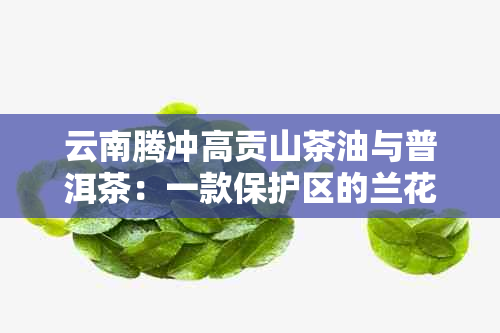 云南腾冲高贡山茶油与普洱茶：一款保护区的兰花与绿茶之旅