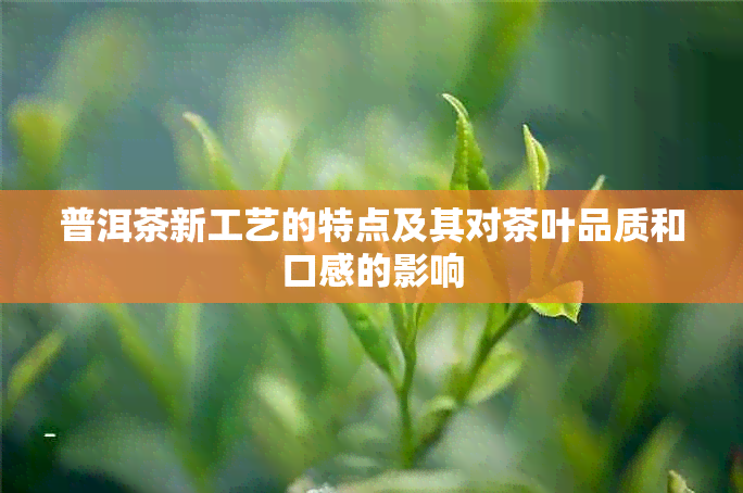 普洱茶新工艺的特点及其对茶叶品质和口感的影响