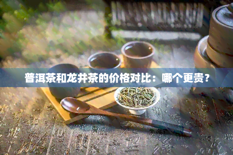 普洱茶和龙井茶的价格对比：哪个更贵？