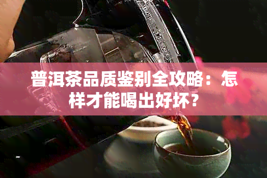 普洱茶品质鉴别全攻略：怎样才能喝出好坏？