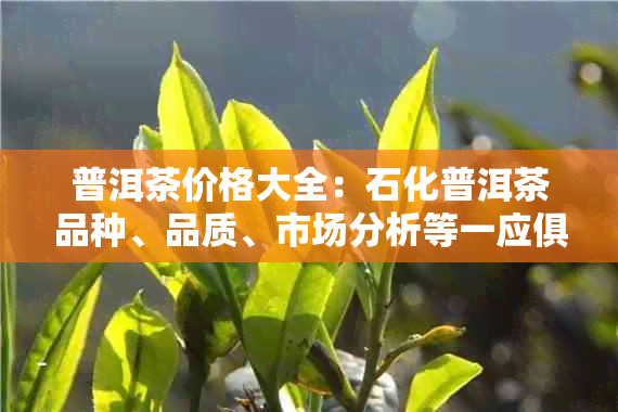 普洱茶价格大全：石化普洱茶品种、品质、市场分析等一应俱全