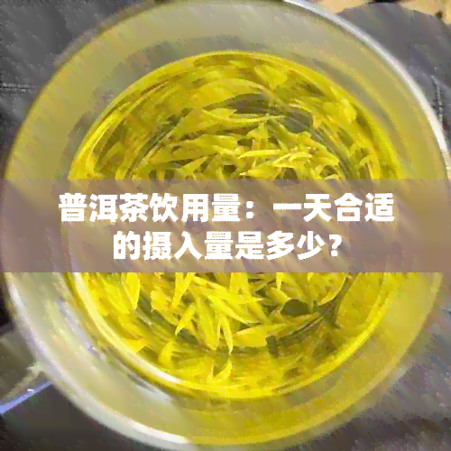 普洱茶饮用量：一天合适的摄入量是多少？