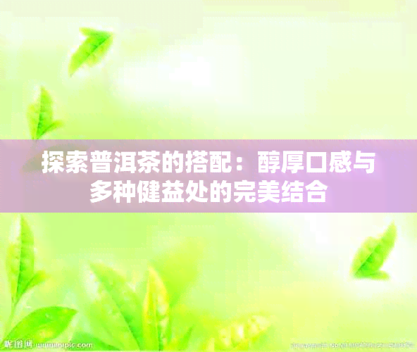 探索普洱茶的搭配：醇厚口感与多种健益处的完美结合