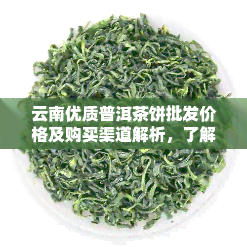 云南优质普洱茶饼批发价格及购买渠道解析，了解最新市场行情和图片