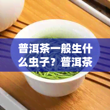 普洱茶一般生什么虫子？普洱茶会生虫吗？普洱茶里会出现什么样的虫子？