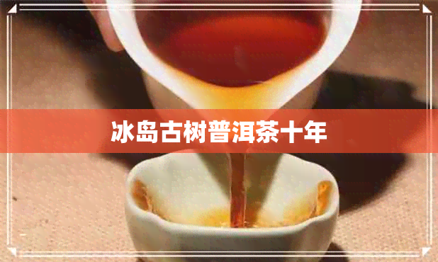 冰岛古树普洱茶十年