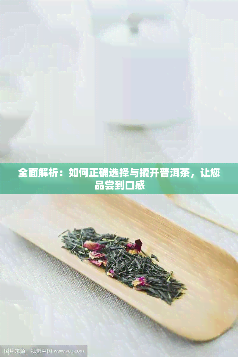 全面解析：如何正确选择与撬开普洱茶，让您品尝到口感