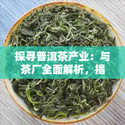 探寻普洱茶产业：与茶厂全面解析，揭示市场潜力与竞争格局