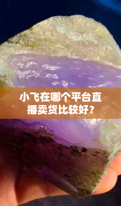 小飞在哪个平台直播卖货比较好？