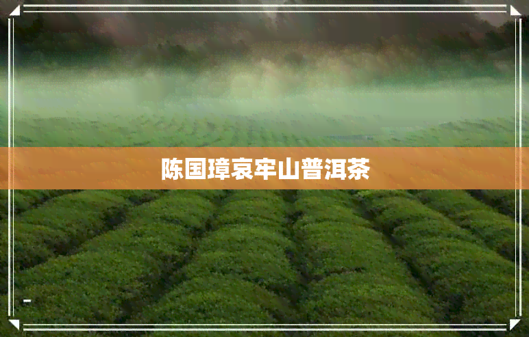 陈国璋哀牢山普洱茶