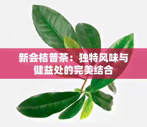 新会桔普茶：独特风味与健益处的完美结合