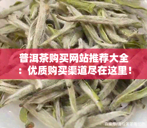 普洱茶购买网站推荐大全：优质购买渠道尽在这里！