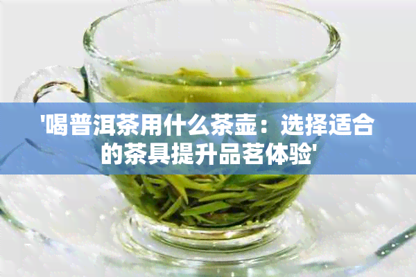 '喝普洱茶用什么茶壶：选择适合的茶具提升品茗体验'