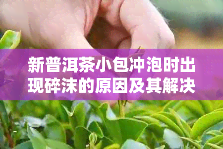 新普洱茶小包冲泡时出现碎沫的原因及其解决方法