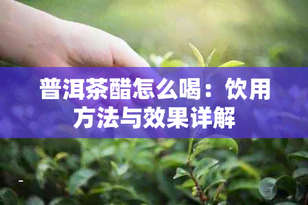 普洱茶醋怎么喝：饮用方法与效果详解