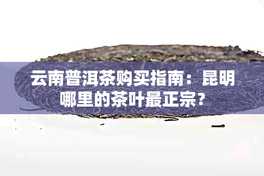 云南普洱茶购买指南：昆明哪里的茶叶最正宗？