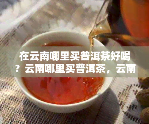 在云南哪里买普洱茶好喝？云南哪里买普洱茶，云南去哪买普洱茶