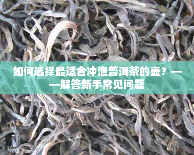 如何选择最适合冲泡普洱茶的壶？——解答新手常见问题