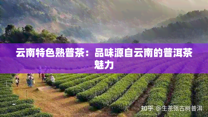 云南特色熟普茶：品味源自云南的普洱茶魅力