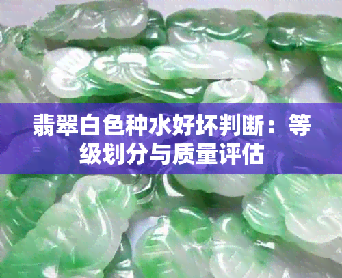 翡翠白色种水好坏判断：等级划分与质量评估